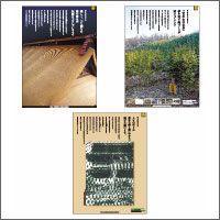 2016年6月話題広告賞 「長野市・全国植樹祭2016長野市実行委員会」[制作　ながのアド・ビューロ/シード]