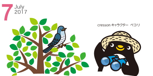 Cresson 2017年7月